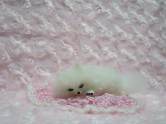羊毛フェルト  犬   ポメラニアン  白   ホワイト  置物　　　 1枚目の画像