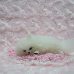 羊毛フェルト  犬   ポメラニアン  白   ホワイト  置物　　　 3枚目の画像