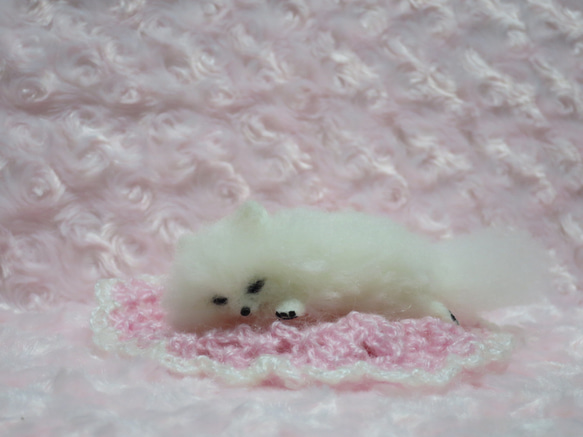 羊毛フェルト  犬   ポメラニアン  白   ホワイト  置物　　　 3枚目の画像