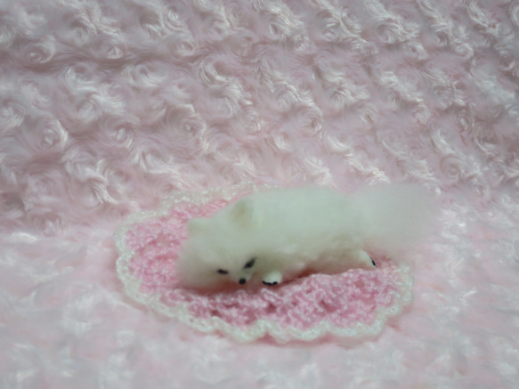 羊毛フェルト  犬   ポメラニアン  白   ホワイト  置物　　　 4枚目の画像