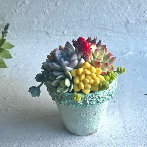 【mog】樹脂粘土のエケベリア e06171e58e901d0d0cb7459d520a56