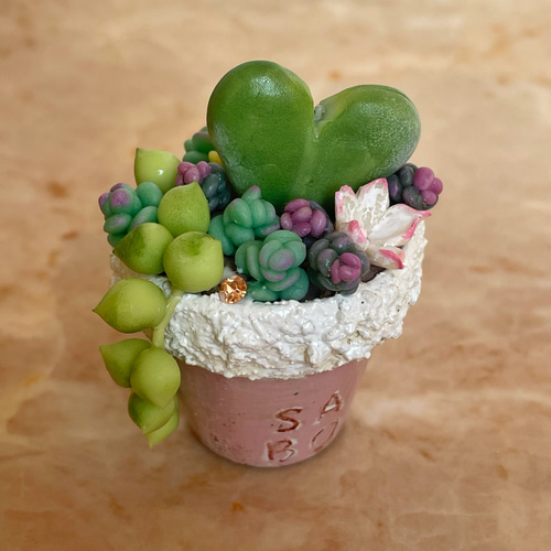 多肉植物 ぷくぷくセット♡恋心♡ビアポップ♡ 646e764a842221294eb0d14f1c635e