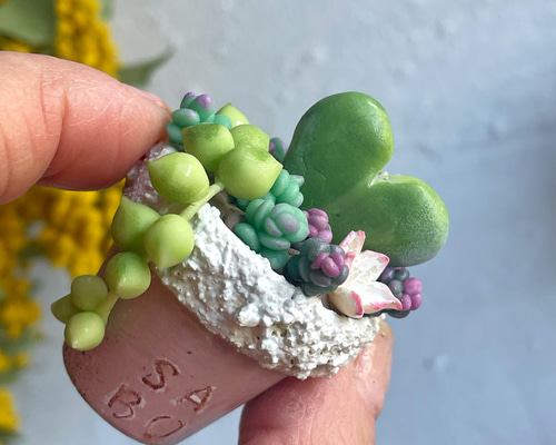 ぷくぷく多肉植物mini mini♡ ラブハート♪樹脂粘土 1号寄せ