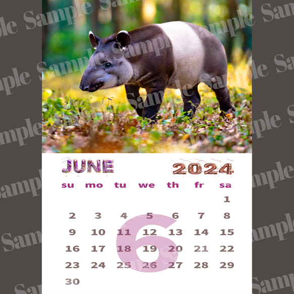 カレンダー2024年6月分カレンダー　バク　モチーフ（スマホ/A4サイズ、ダウンロード用） 2枚目の画像