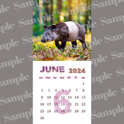 カレンダー2024年6月分カレンダー　バク　モチーフ（スマホ/A4サイズ、ダウンロード用） 1枚目の画像