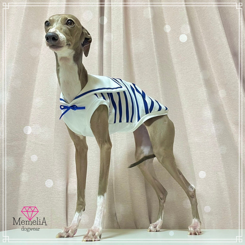 2025新色】サマータンクトップ パンサー コーラル / Little panther