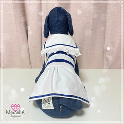 【イタグレ用犬服】夏にぴったり水平さん⚓️セーラーカラーワンピース♡【ネックは選択可能】 2枚目の画像