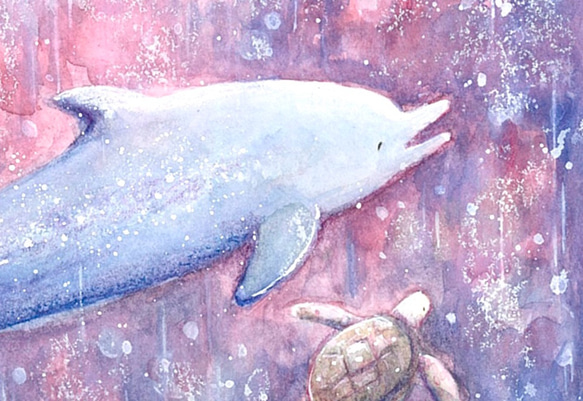 仲良しのふたり【イルカとウミガメ】 4枚目の画像