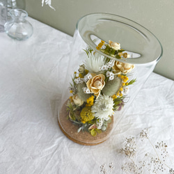 お花を閉じ込めたガラスドーム（ミモザ) ボトルフラワー　結婚祝い　引越し祝い　ギフト　結婚祝い　母の日 2枚目の画像