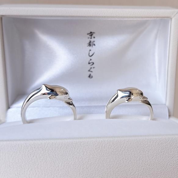 イルカのペアリング】イルカリング ドルフィンリング イルカ指輪