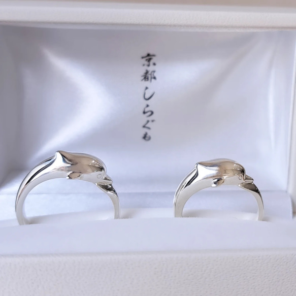 2024.3最新作品　白イルカ指輪 イルカのペアリング 】イルカリング ドルフィンリング イルカ指輪 ペア