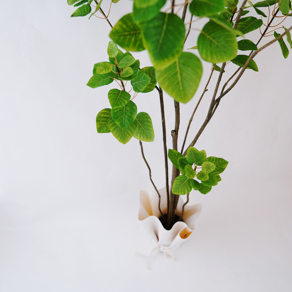 スモークツリーとラッピングレザーカバーセット（観葉植物） 2枚目の画像