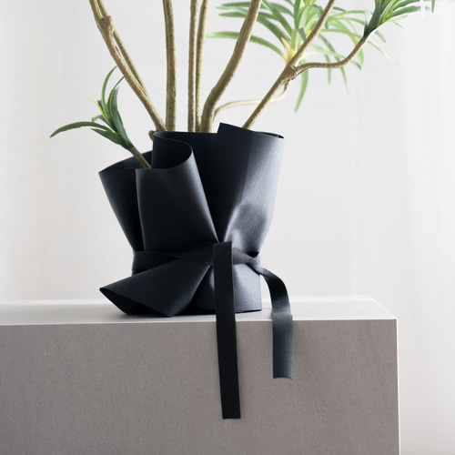 ウンベラータとラッピングレザーカバーセット（観葉植物） アート 