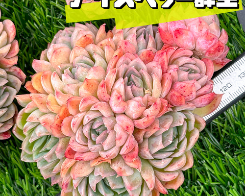 c71ee3d1794ebf360858b5898f6e9d