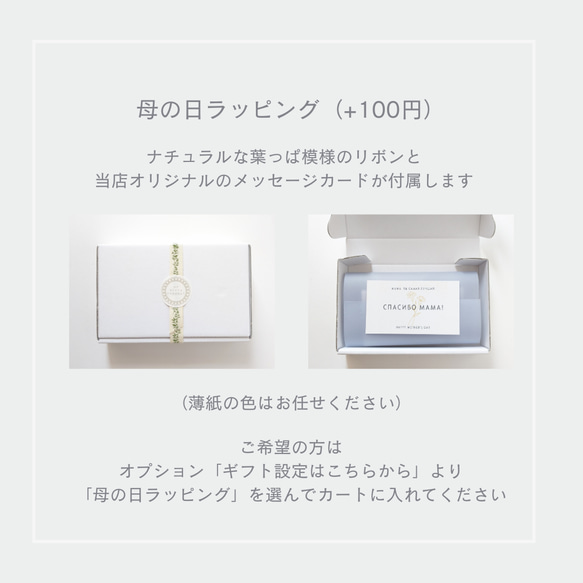 異国の風　羽織紐　イナストラーンナヤ【青緑】　クリップ式　ショールクリップ　ほかの人とかぶらない　個性的　北欧風　海 10枚目の画像