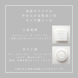 異国の風　羽織紐　イナストラーンナヤ【青】　クリップ式　ショールクリップ　ほかの人とかぶらない　個性的　北欧風　ブルー 7枚目の画像