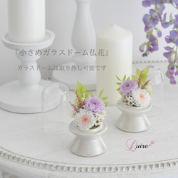 【小さめ仏花】2色の小菊のプリザーブドフラワードーム仏花、お供え花／お悔み 新盆／ガラスドーム取り外し可能／ペット用仏花 6枚目の画像