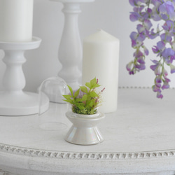 【小さめ仏花】2色の小菊のプリザーブドフラワードーム仏花、お供え花／お悔み 新盆／ガラスドーム取り外し可能／ペット用仏花 8枚目の画像