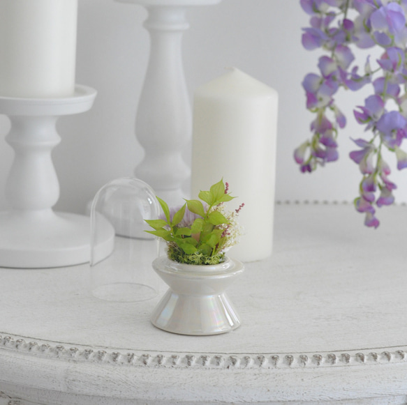 【小さめ仏花】2色の小菊のプリザーブドフラワードーム仏花、お供え花／お悔み 新盆／ガラスドーム取り外し可能／ペット用仏花 8枚目の画像