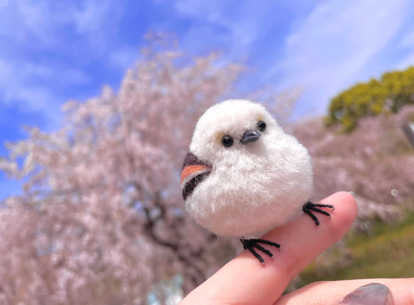 (3日以内発送)リアルかわいいシマエナガ[羊毛フェルト] 1枚目の画像