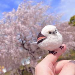 (3日以内発送)リアルかわいいシマエナガ[羊毛フェルト] 2枚目の画像