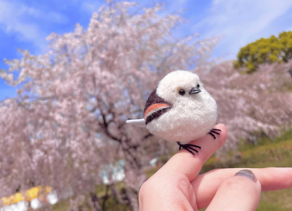 (3日以内発送)リアルかわいいシマエナガ[羊毛フェルト] 2枚目の画像