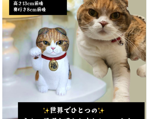 ねこ◎様♥️オーダーページ♥️2便になります 2720618668a1c23291571c815a4b19