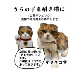 オーダーメイド うちの子招き猫 中猫サイズ 招き猫 タヌネコ 通販