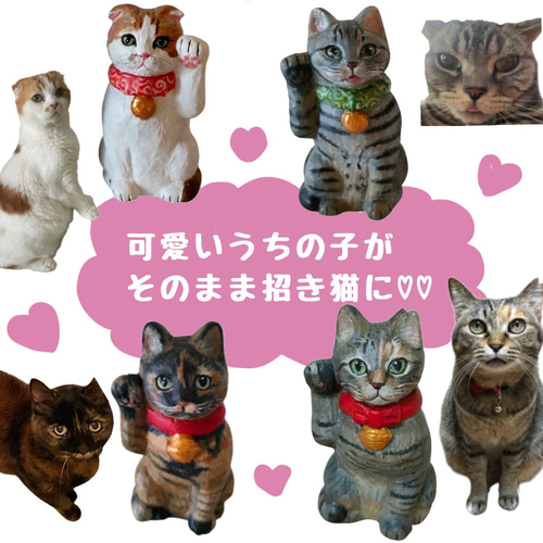 オーダーメイド うちの子招き猫R サイズ10 招き猫 タヌネコ 通販
