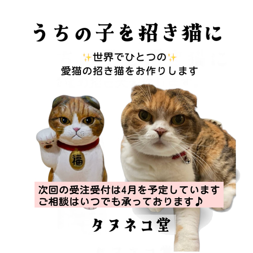 オーダーメイド うちの子招き猫 中猫サイズ 招き猫 タヌネコ 通販