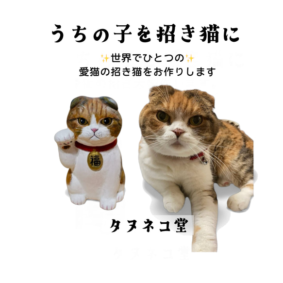 ＊Cherry＊様♥️オーダーページ　ハンドメイド品　猫 オーダーメイド うちの子招き猫 中猫サイズ 招き猫 タヌネコ 通販