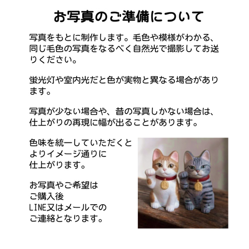 オーダーメイド うちの子招き猫 中猫サイズ 招き猫 タヌネコ 通販