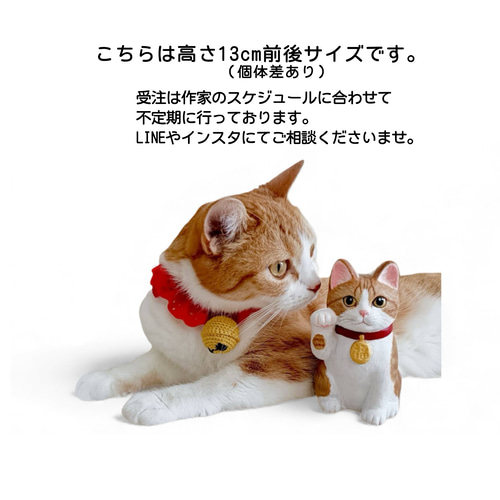 オーダーメイド うちの子招き猫 中猫サイズ 招き猫 タヌネコ 通販