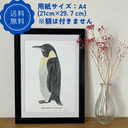 （送料無料）ポストカード　ペンギン　グラフィック　インテリア　アート　海　動物　自然　生き物　おしゃれ　リビング　 5枚目の画像