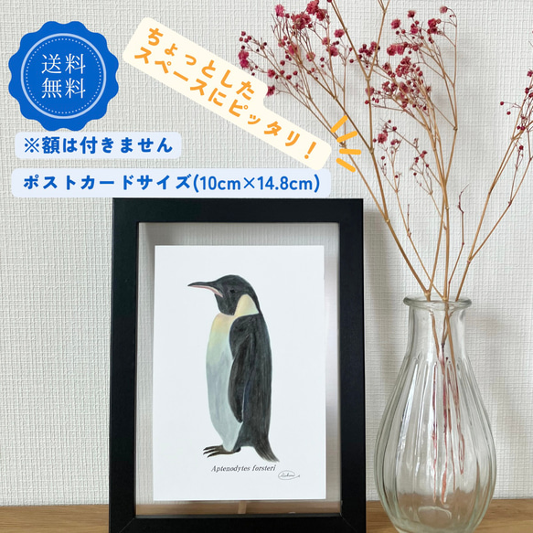 ペンギンカード額縁
