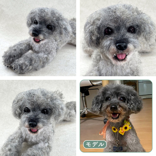 羊毛フェルト【オーダーメイド】うちの子オーダー✴︎犬✴︎愛犬