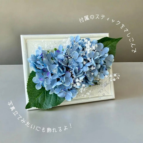 紫陽花まるごとフレームアレンジメント / 壁掛けインテリア 壁飾り