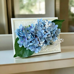 紫陽花まるごとフレームアレンジメント / 壁掛けインテリア 壁