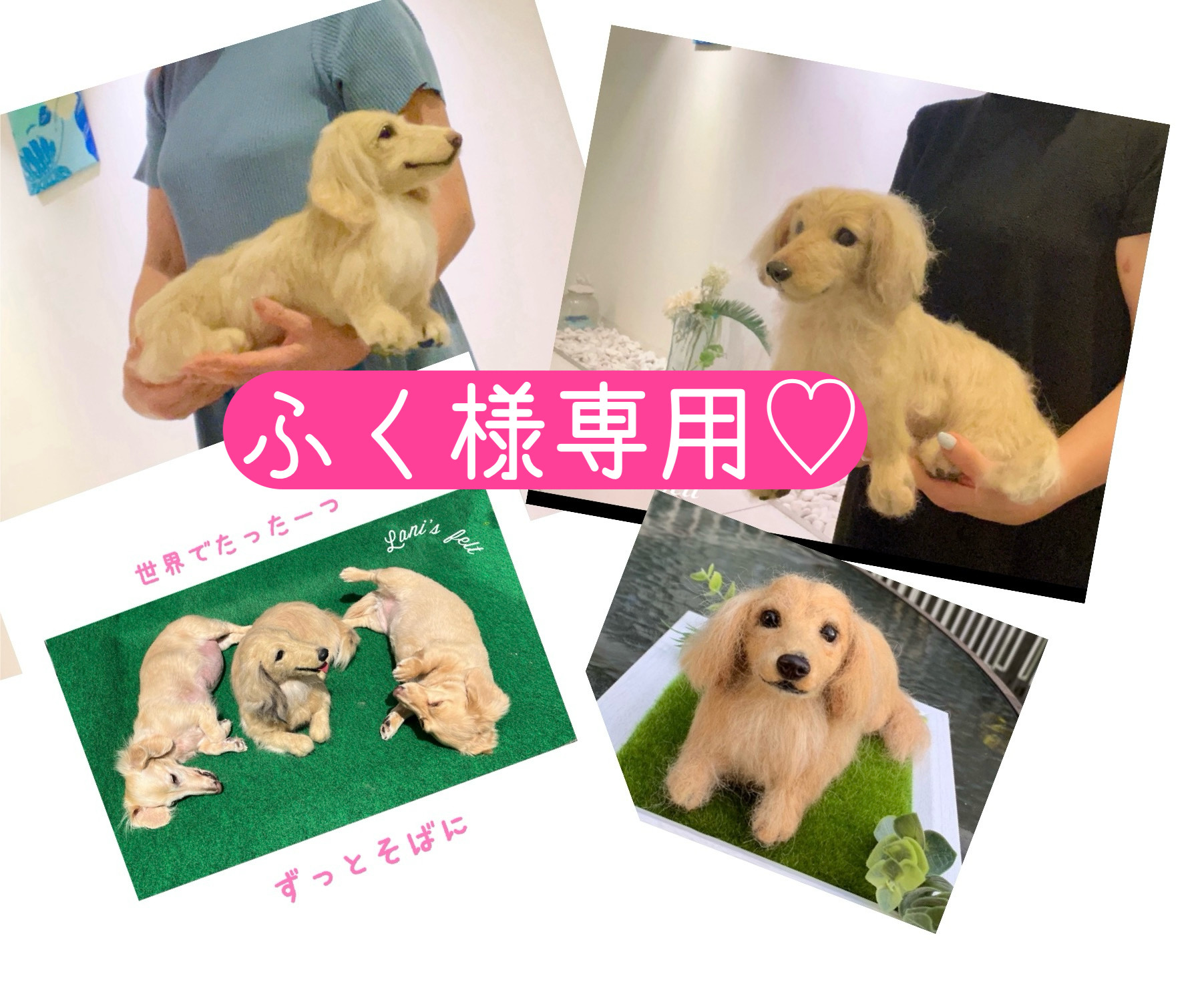 福さま専用 福さま専用☆三ツ星貿易小型冷蔵庫☆エクセレンス40L ML