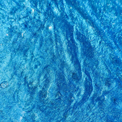 濃青海のヤシ 6枚目の画像