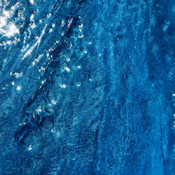 濃青海のヤシ 10枚目の画像
