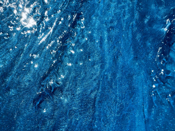 濃青海のヤシ 10枚目の画像