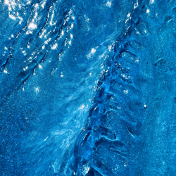 濃青海のヤシ 11枚目の画像