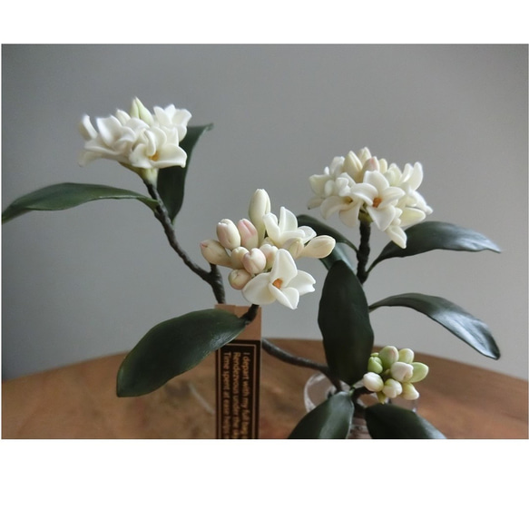 ✿【 粘土置物 】「大人に香る魅力。ダークグリーンの葉に映える」沈丁花の花枝（ホワイト） No.1 ／ 花瓶付き 6枚目の画像