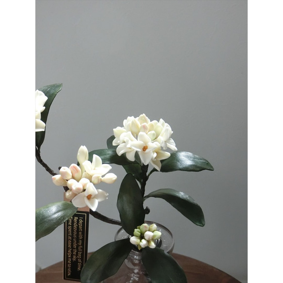 ✿【 粘土置物 】「大人に香る魅力。ダークグリーンの葉に映える」沈丁花の花枝（ホワイト） No.1 ／ 花瓶付き 13枚目の画像