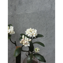 ✿【 粘土置物 】「大人に香る魅力。ダークグリーンの葉に映える」沈丁花の花枝（ホワイト） No.1 ／ 花瓶付き 11枚目の画像