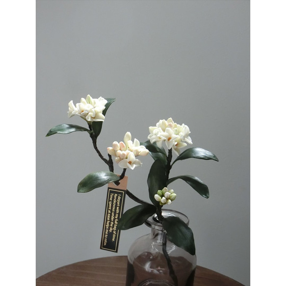 ✿【 粘土置物 】「大人に香る魅力。ダークグリーンの葉に映える」沈丁花の花枝（ホワイト） No.1 ／ 花瓶付き 12枚目の画像