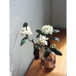 ✿【 粘土置物 】「大人に香る魅力。ダークグリーンの葉に映える」沈丁花の花枝（ホワイト） No.1 ／ 花瓶付き 20枚目の画像