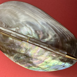 ボールペン　天然貝殻 6枚目の画像