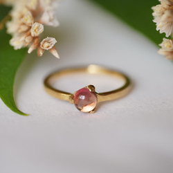 K18 Bicolor Tourmaline ring(0.65ct,R046_BCT) 1枚目の画像